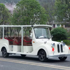 11座电动老爷车