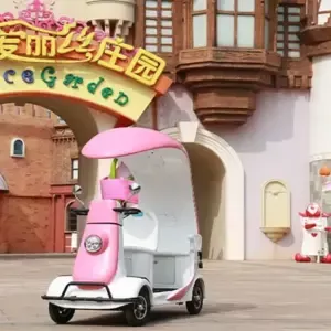 四轮共享电动车