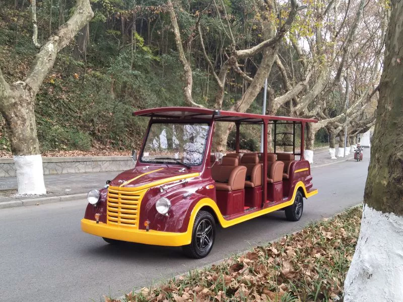 14座电动老爷车 12 14座电动老爷车 - 图片 4