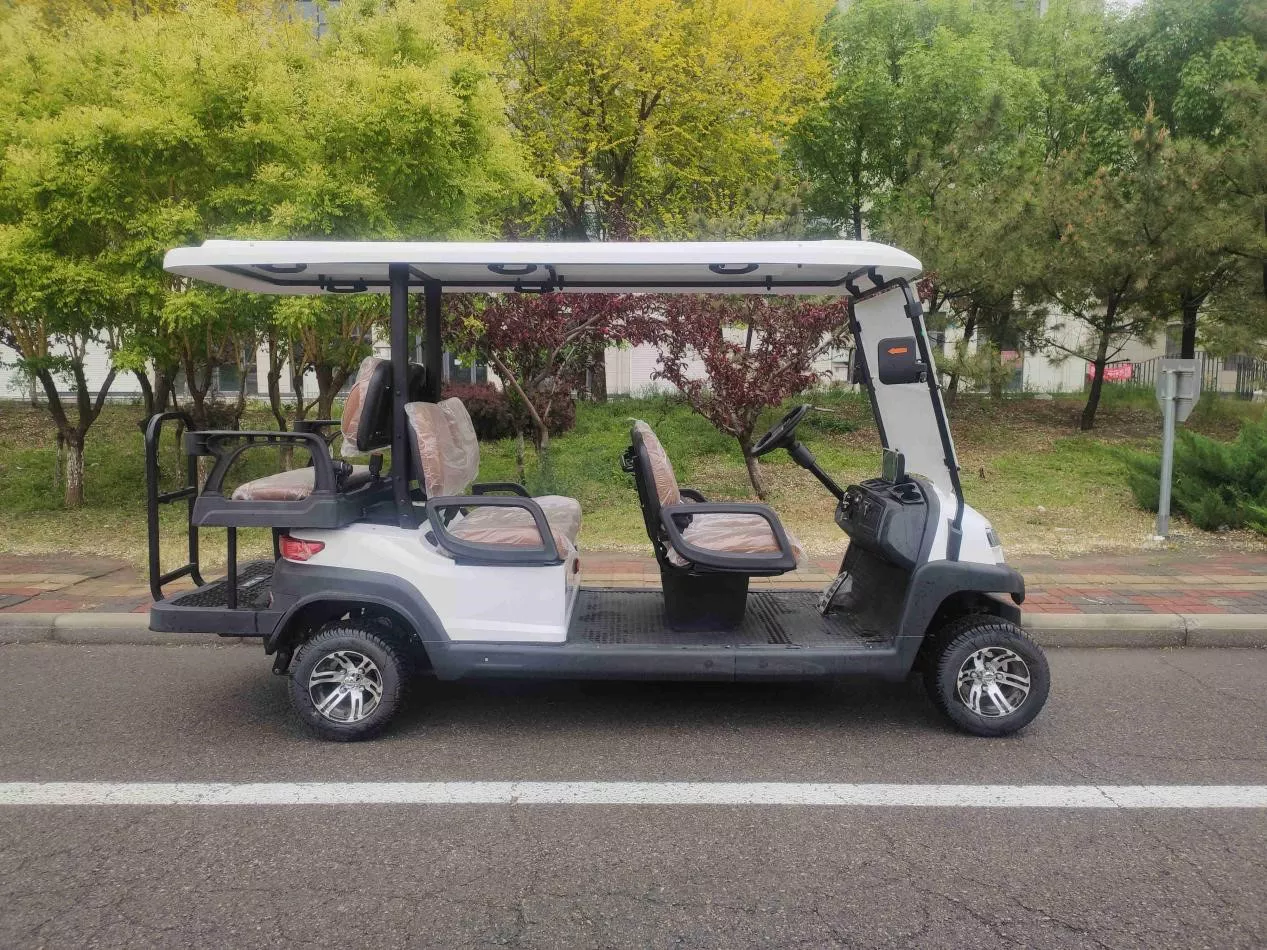 F2系列高尔夫球车 14 F2系列高尔夫球车 - 图片 6